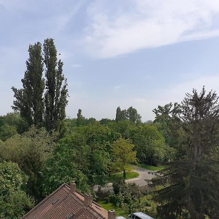 Appartement Sur Les Bords De L'Ill Straßburg Exterior foto