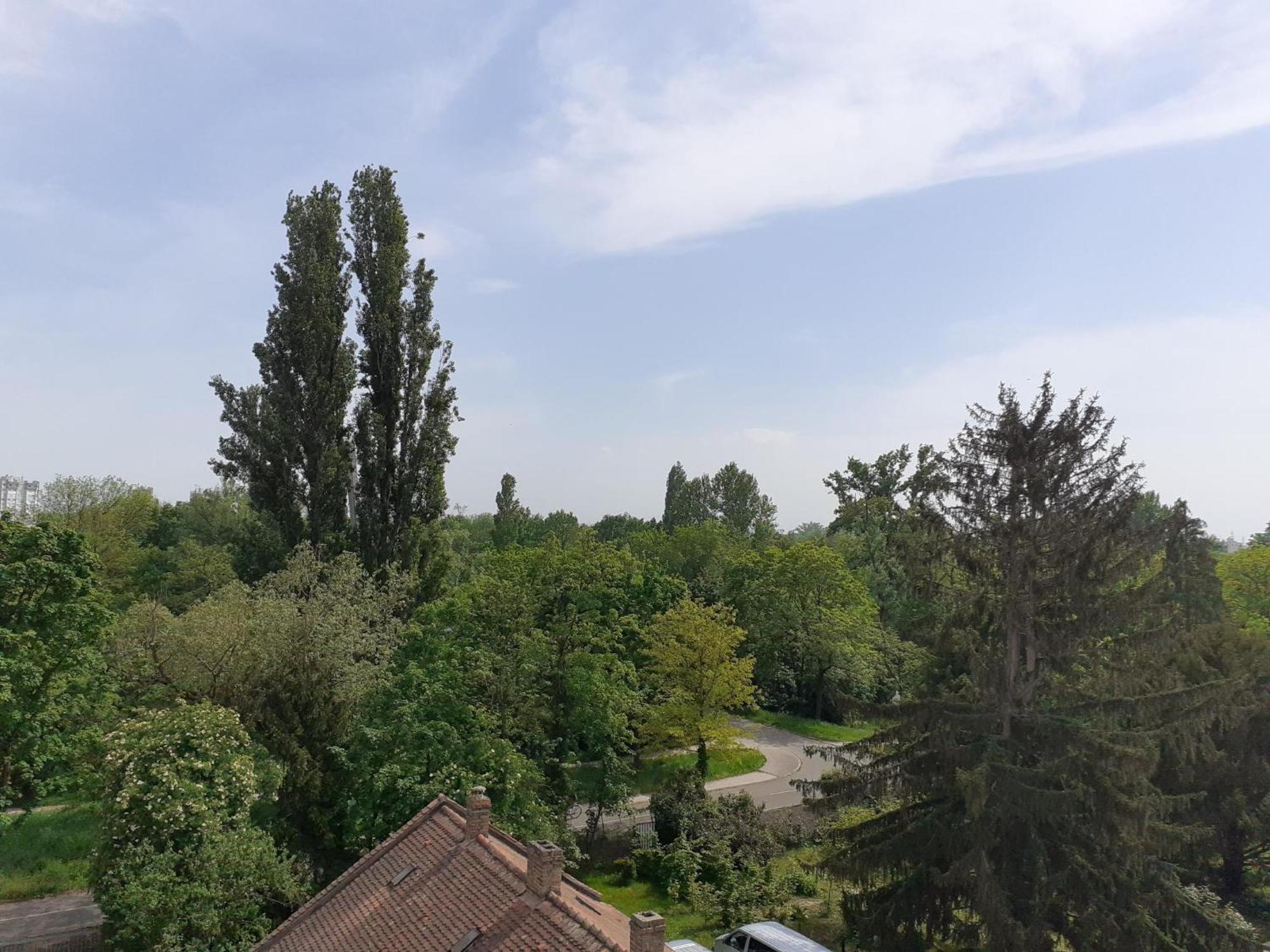Appartement Sur Les Bords De L'Ill Straßburg Exterior foto