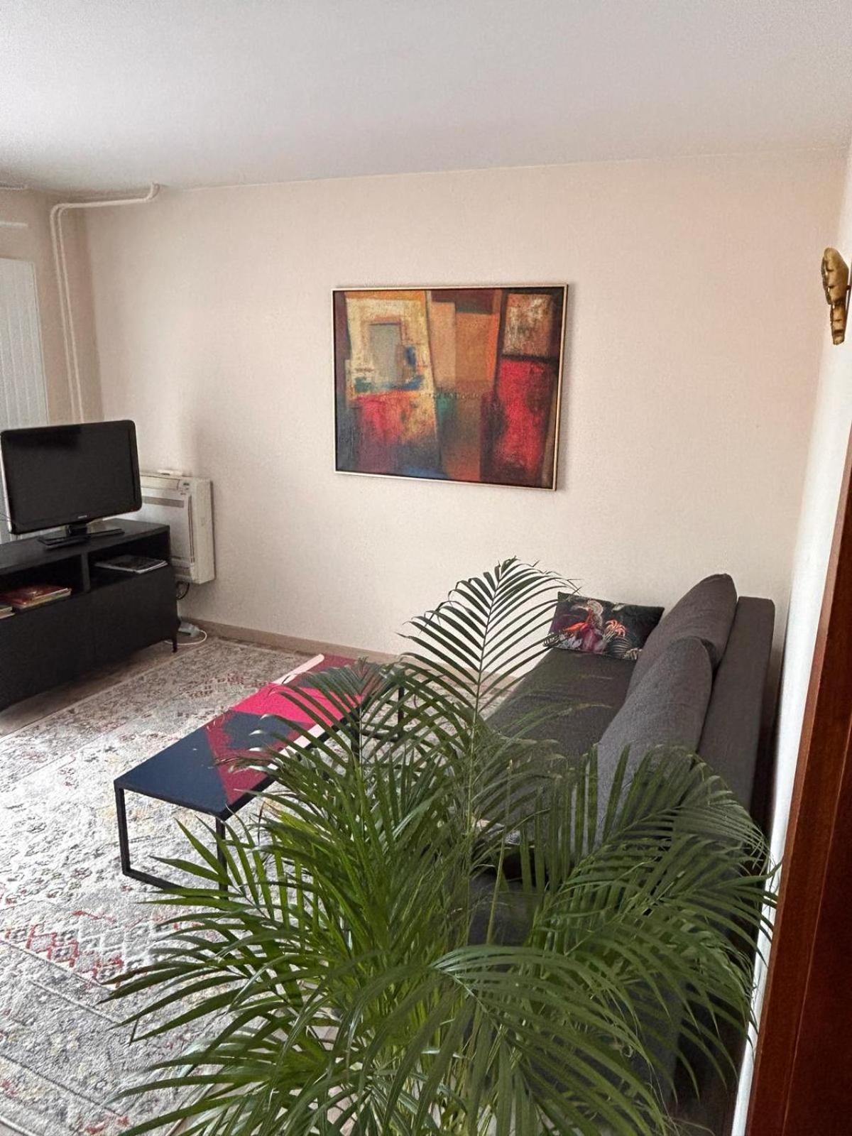 Appartement Sur Les Bords De L'Ill Straßburg Exterior foto